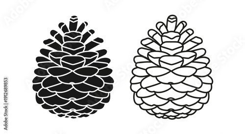 Two pinecones illustration vector design artwork concept Vector