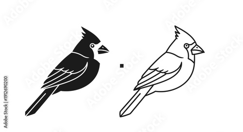 Two birds perched on a branch, illustrations of cardinals, bird illustration, bird drawing Vector