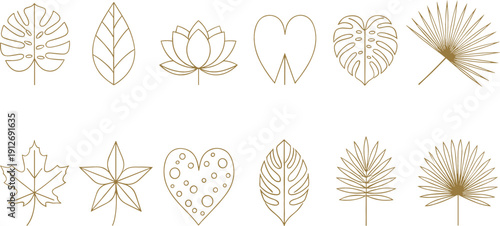 Set of botanical leaf line icons vector tropical foliage decorative collection isolated