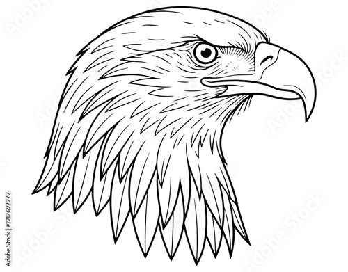 Majestic Eagle Head Portrait Line Art Illustration, Minimalist Bald Eagle Silhouette Vector Design, Wild Bird Concept for Nature Conservation and Wildlife Protection Projects. 