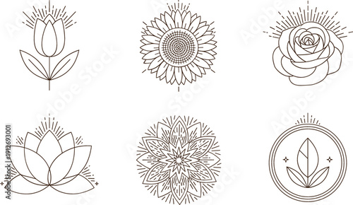 Set of elegant floral botanical line icons vector decorative lotus sunflower rose collection isolated