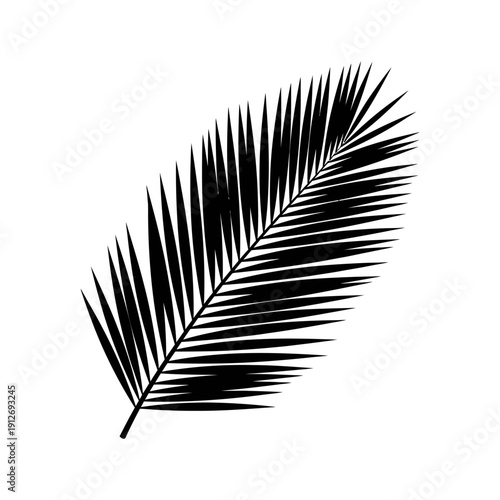 black tropical palm leaf silhouette a minimalist graphic element on white evoking summer exotic vibes ideal for modern design.
