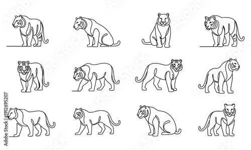 modern abstract tiger collection in different poses_26
