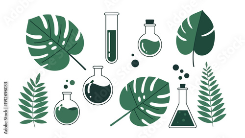 botanical science illustrations featuring lab glassware and leaves ideal for organic cosmetics natural ingredients or sustainable chemistry.