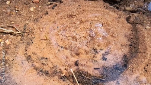 Natural gas bubbles rising from the muddy earth floor through clear water in a geological spring.