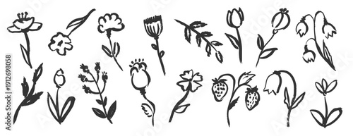 Hand-drawn flowers