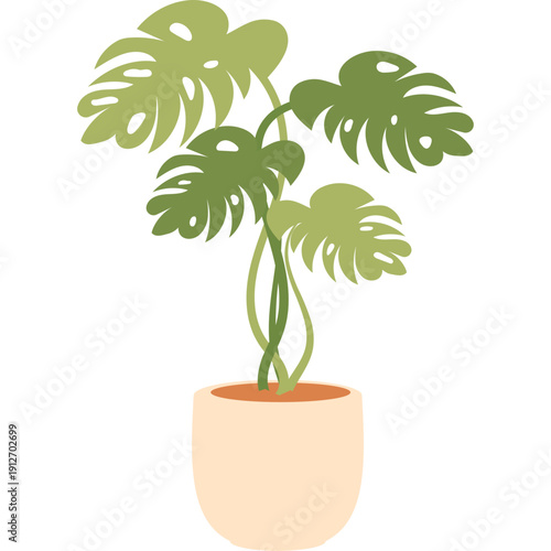 Illustration of a Potted Monstera Deliciosa Houseplant with Fenestrated Leaves