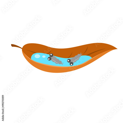 mosquitoes bite. dengue fever and zika infection concept