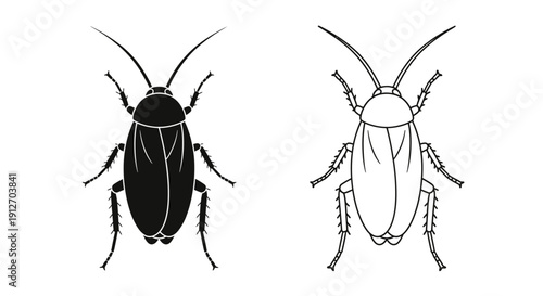 Black and white insects illustration, vector bugs art, nature drawing Vector