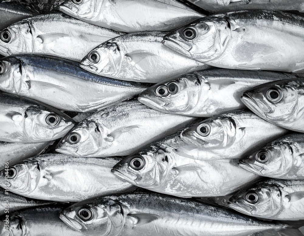 Fototapeta premium fresh fish on the market