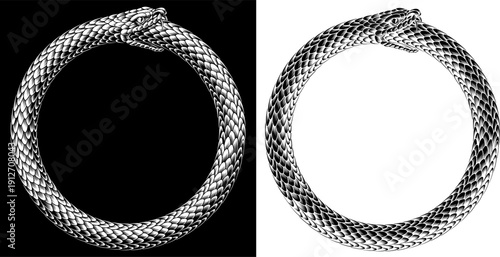 Fotografie An ouroboros or uroboros serpent snake consuming its own tail circle in a vintag