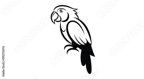 Stunning black line art parrot illustration on white background
