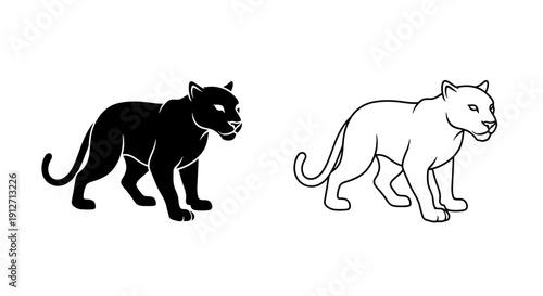 Black and white cat illustration, panther and snow leopard drawing, vector art Vector