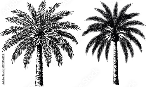 Minimalist icon representing a vector file format document