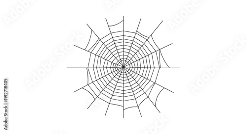 Symmetrical and highly detailed drawing of a spider web in black lines, isolated on a clean white background for a spooky look.