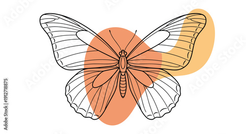 Artistic line art illustration of a butterfly with large wings set against orange and yellow abstract organic shapes.