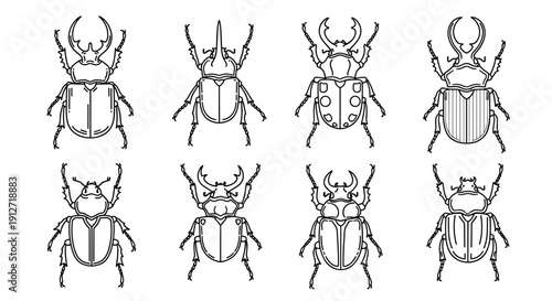 Set of eight diverse beetle species depicted in detailed black and white line art icons for scientific or decorative use.