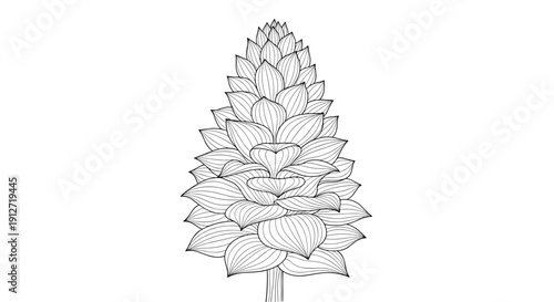 Detailed botanical line art of a pine cone or artichoke plant structure provides a complex natural texture on a white background.
