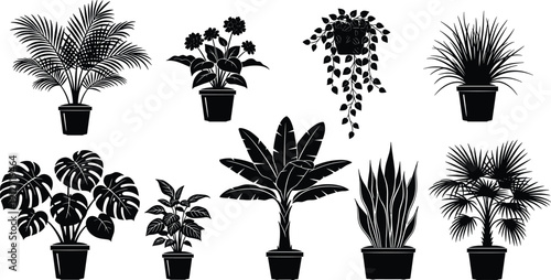 Silhouettes of various potted house plants, indoor greenery collection, monstera palm snake plant and tropical leaves, botanical decor set on white background