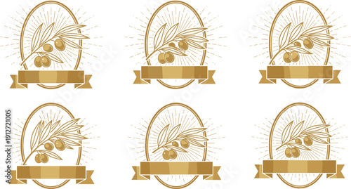 Set of olive branch vintage badge emblems vector decorative botanical labels elegant line art collection