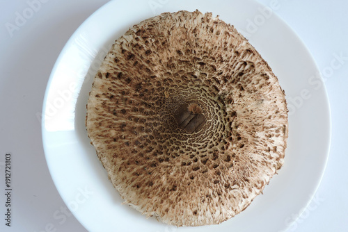 Wallpaper Mural Parasol mushroom cap on a white plate, top view Torontodigital.ca