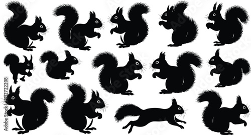 Vector Silhouettes of Squirrels for Fall Decor and Seasonal Designs