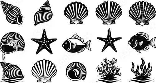Seashells and Marine Life Illustrations in Black and White for Coastal Designs