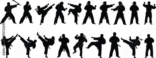 Martial arts silhouette set featuring karate fighters in combat poses, high kicks, punching, and defensive stances for sports training or competition designs.