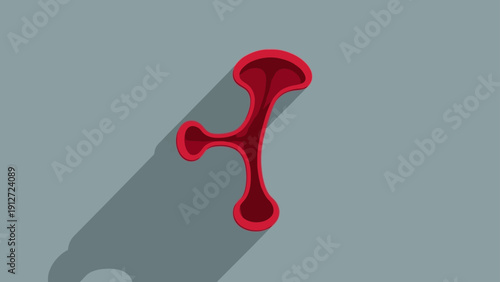 red organic abstract fluid shape casting a long shadow minimalist flat design graphic for biological and conceptual design.