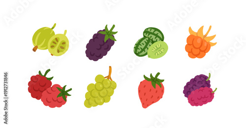 Exotic, tropical, rare and Common Fruits Collection. Flat cartoon Vector Set of fruits on white isolated background.