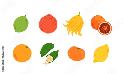 Exotic, tropical, rare and Common Fruits Collection. Flat cartoon Vector Set of fruits on white isolated background.