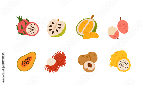 Exotic, tropical, rare and Common Fruits Collection. Flat cartoon Vector Set of fruits on white isolated background.