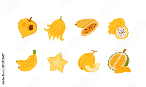 Exotic, tropical, rare and Common Fruits Collection. Flat cartoon Vector Set of fruits on white isolated background.