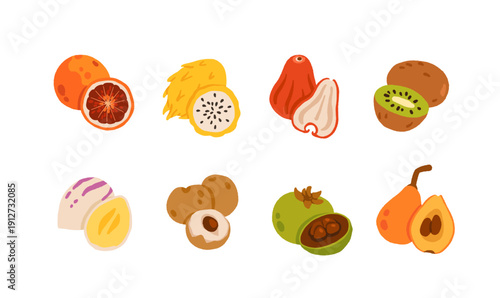 Exotic, tropical, rare and Common Fruits Collection. Flat cartoon Vector Set of fruits on white isolated background.