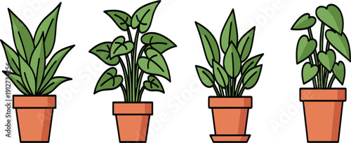 Hand drawn green indoor house plants in terracotta pots vector illustration set, home gardening isolated on white background.