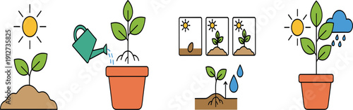 Plant growth cycle and gardening stages vector illustration set, watering plant in pot with sun and rain on white background.