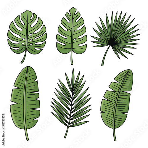 Various kinds of topis leaves