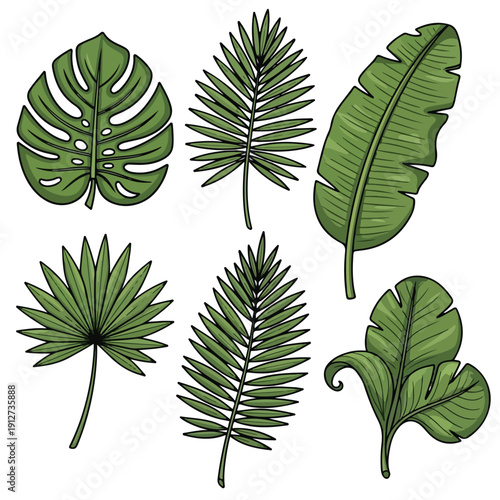 Various kinds of topis leaves