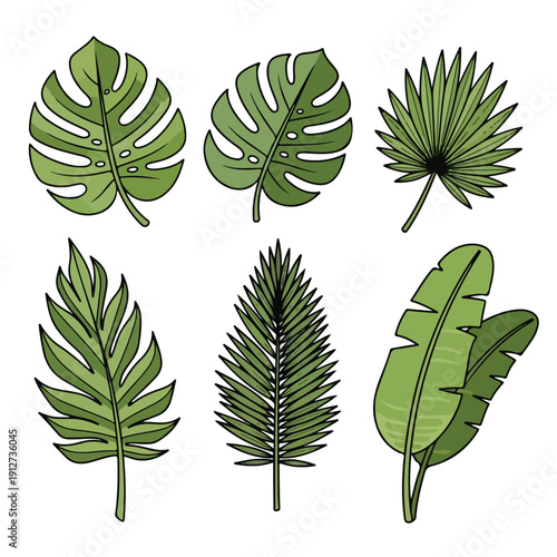 Various kinds of topis leaves