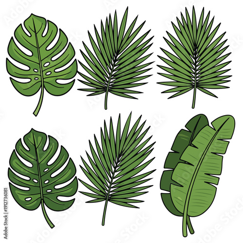Various kinds of topis leaves