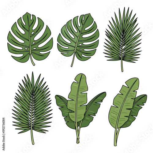 Various kinds of topis leaves
