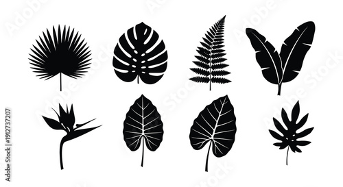 Silhouettes of various tropical leaves arranged in a grid pattern