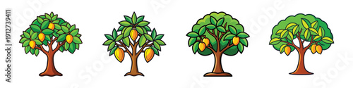 Mango Tree Growth Stages Vector Illustration Flat Design