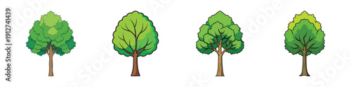 Set of poplar trees in different styles flat design vector illustration