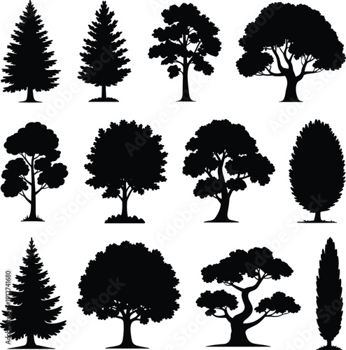 Tree silhouettes collection featuring various deciduous and conifer shapes, natural forest vegetation elements for landscaping, ecology, seasonal nature designs isolated on white background
