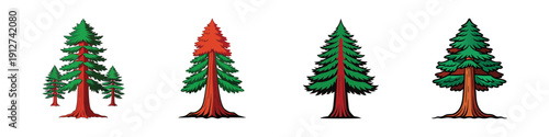 Set of Redwood Trees in Different Stages vector illustration