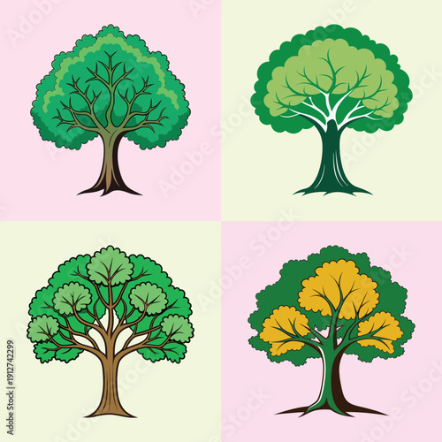 Sycamore Tree Variations in Flat Design Style Vector Illustration