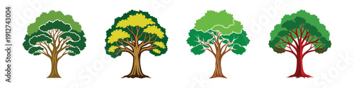 Set of colorful teak trees in different seasons vector illustration