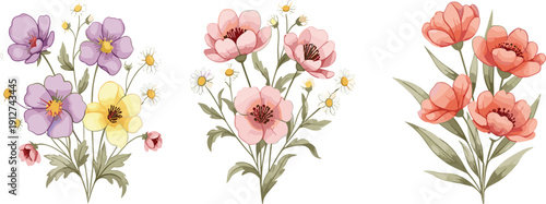 Hand Painted Wildflower Bouquets with Poppies Daisies and Pastel Blossoms Romantic Botanical Vector Illustration Set
