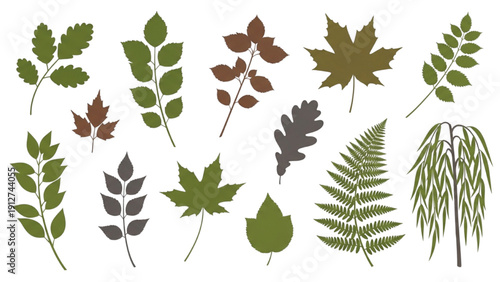 Collection of assorted leaves and foliage illustrations displayed together